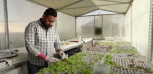 لاجئون سوريون بمصر يحولون أسطح المنازل لمساحات صديقة للبيئة