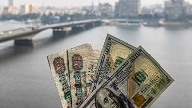 سعر الدولار اليوم في مصر