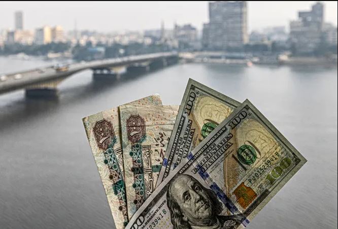 سعر الدولار اليوم في مصر