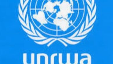 تحميل بطاقات التعلم الذاتي للأسبوع الثاني من الأونروا