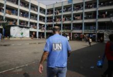 وظائف الأونروا "UNRWA" .. رابط التسجيل للعديد من فرص العمل
