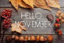 مناسبات شهر 11