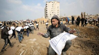 رابط مساعدات الدقيق من الأونروا