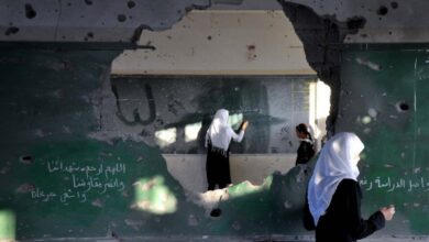 التعليم العالي