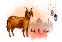 إجازة عيد الأضحى 2025