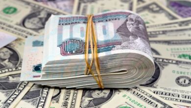 سعر الدولار في مصر