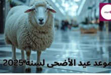 متى عيد الأضحى لسنة 2025؟ موعد عيد الأضحى المبارك فلكيًا وشرعيًا