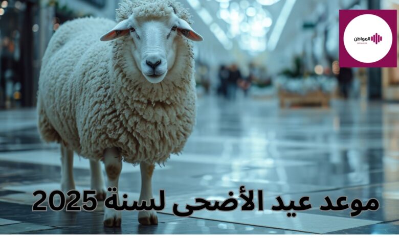 متى عيد الأضحى لسنة 2025؟ موعد عيد الأضحى المبارك فلكيًا وشرعيًا