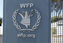 طرق استعادة كلمة المرور لحسابك في برنامج الغذاء العالمي (WFP)