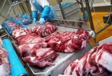 1022796444_0_323_3067_2048_600x0_80_0_0_5b1a5865671eef260ef55ed224d8256a