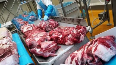 1022796444_0_323_3067_2048_600x0_80_0_0_5b1a5865671eef260ef55ed224d8256a