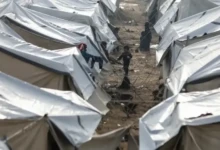 7e79ac49-7reqmxa3swgwm5rwtj4i7j