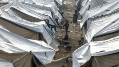 7e79ac49-7reqmxa3swgwm5rwtj4i7j