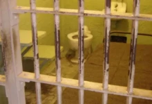 image1170x530cropped (5)