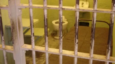 image1170x530cropped (5)