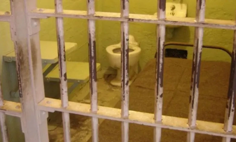 image1170x530cropped (5)