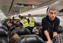 image_processing20251120-1306131-w36m4h