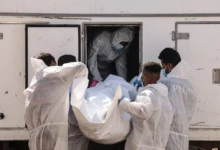 IMG_20251110_100641_212