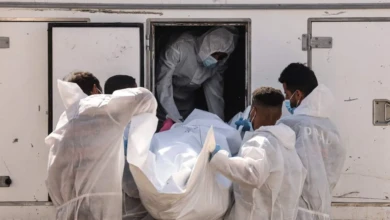 IMG_20251110_100641_212