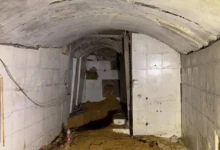 IMG_٢٠٢٥١١٢٠_١٩٥١٣٢