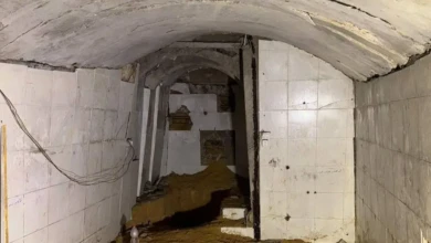 IMG_٢٠٢٥١١٢٠_١٩٥١٣٢