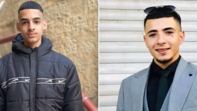 IMG_٢٠٢٥١١٢١_٠١٥٣٢٤_837.jpg-0ece0e61-1307-431d-8e65-d85e748468fd