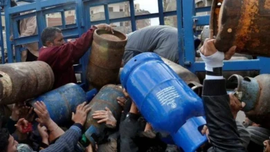 photo_٢٠٢٢-٠١-٣١_٢١-٣٢-٥٢ (2)