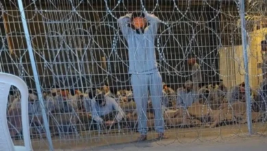 photo_٢٠٢٤-٠٨-٠٧_١٨-٠٢-٢٣