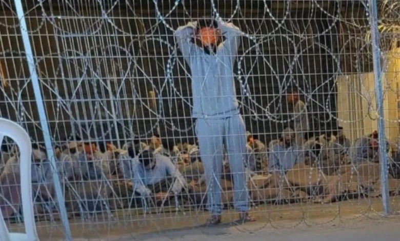 photo_٢٠٢٤-٠٨-٠٧_١٨-٠٢-٢٣