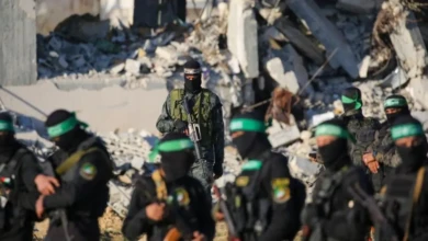 photo_٢٠٢٥-٠٢-٠١_١٤-٠٣-٥٢ (2)