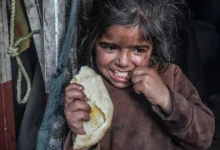 photo_٢٠٢٥-٠٤-١٨_٠٩-٤٧-٣٨