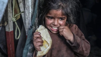 photo_٢٠٢٥-٠٤-١٨_٠٩-٤٧-٣٨