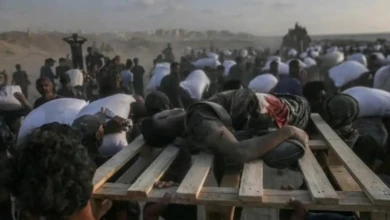 photo_٢٠٢٥-٠٦-١٩_٠٨-٢١-١٣