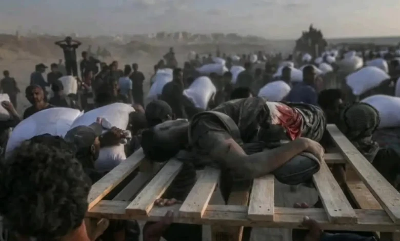 photo_٢٠٢٥-٠٦-١٩_٠٨-٢١-١٣