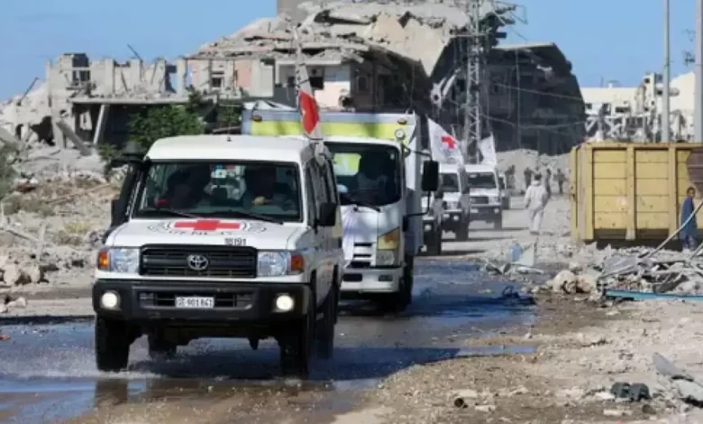 photo_٢٠٢٥-١٠-١٥_١٢-٢٤-٣٥