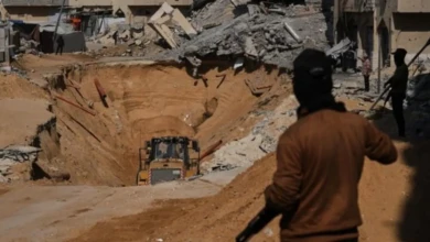 photo_٢٠٢٥-١١-٠٣_٢١-٥٦-٤٨