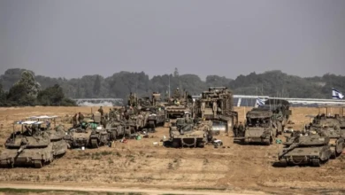 photo_٢٠٢٥-١١-٠٥_٠٩-٤٨-٤٩