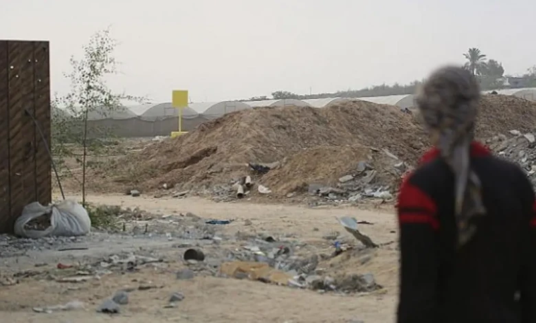 photo_٢٠٢٥-١١-٠٥_٢٢-٥٣-١٠