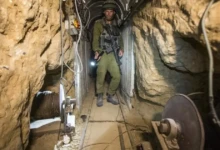 photo_٢٠٢٥-١١-٠٦_٠٨-٥٩-٤٢