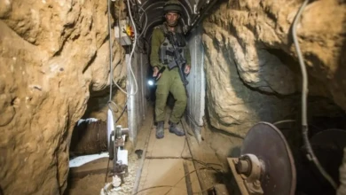 photo_٢٠٢٥-١١-٠٦_٠٨-٥٩-٤٢