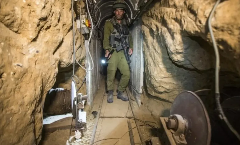 photo_٢٠٢٥-١١-٠٦_٠٨-٥٩-٤٢