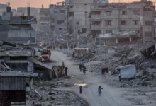 photo_٢٠٢٥-١١-٠٦_٠٩-٢٧-٠٨