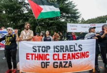 photo_٢٠٢٥-١١-٠٦_١١-٤٩-٣٨