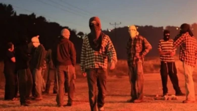 photo_٢٠٢٥-١١-٠٨_٠٩-٤٢-٤٢