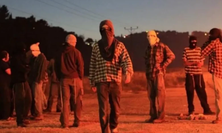 photo_٢٠٢٥-١١-٠٨_٠٩-٤٢-٤٢