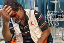 photo_٢٠٢٥-١١-٠٨_١١-٣٥-١٤