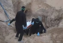 photo_٢٠٢٥-١١-٠٨_٢١-٣٠-٠٤