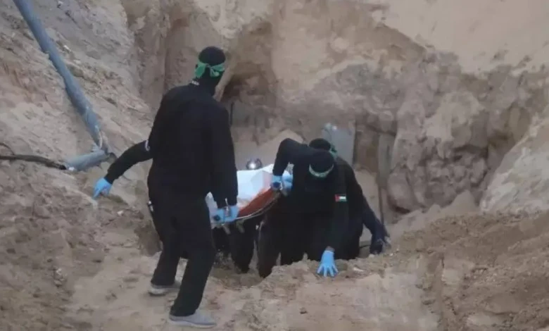 photo_٢٠٢٥-١١-٠٨_٢١-٣٠-٠٤