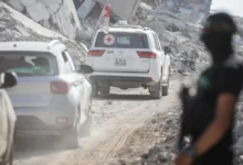 photo_٢٠٢٥-١١-١٠_٠٨-٢٦-٥٠