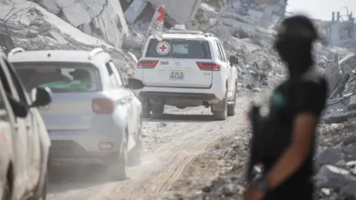 photo_٢٠٢٥-١١-١٠_٠٨-٢٦-٥٠